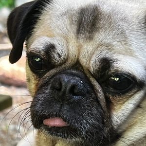 Meet your Posher, Sandra